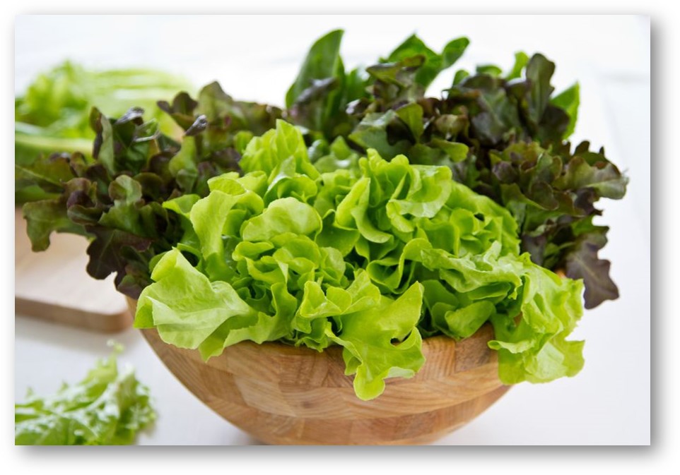 CHEF Q 4 parts of Salad as The Structure in Salad Creation