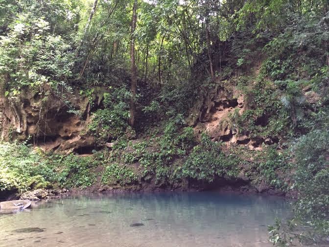 Placencia Vacation review from a first-timer! 105 Remaxvipbelize: Jungle Trail