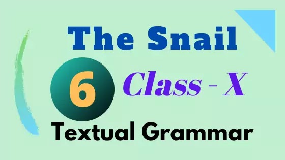 The Snail Textual Grammar