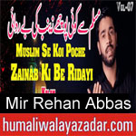 https://humaliwalaazadar.blogspot.com/2019/08/mir-rehan-abbas-nohay-2020.html
