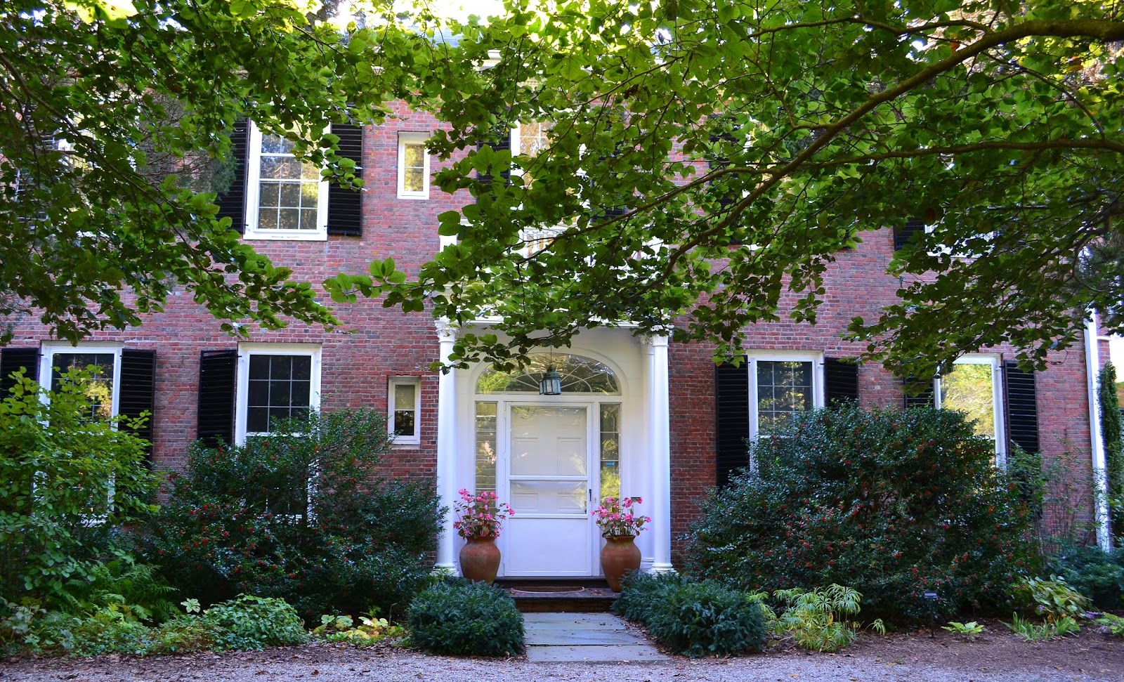 Linda Letters Still Monday Long Hill and Sedgwick Gardens