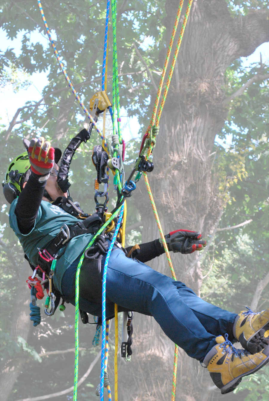 あすつく サムソン 11.8mm ツリークライミング ロープ アーボリスト 