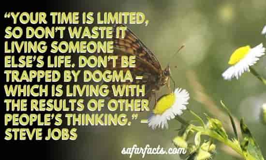 108 + Family Problems Sayings & Quotes-Wise Old Sayings - Amazing Facts