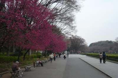 Ueno Park, Tokyo