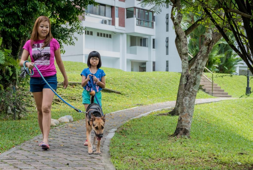 where can i walk my dog in singapore