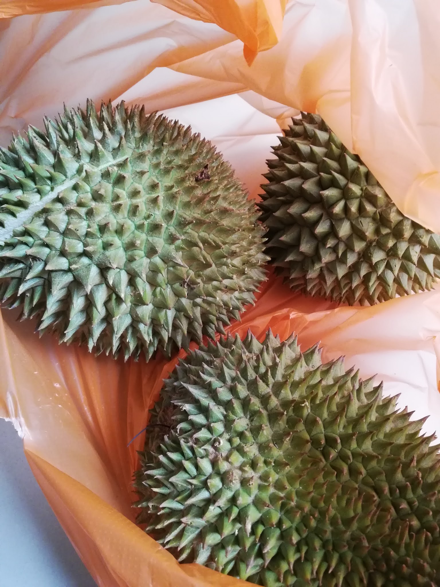 Harga durian kampung 2021