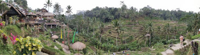 Tegalalan Rice Terraces o Arrozales de Tegalalan. Isla de Bali. Indonesia. Tegalalan Rice Terraces o Arrozales de Tegalalan. Isla de Bali. Indonesia.