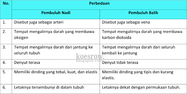 Perbedaan pembuluh darah arteri dan vena Perbedaan pembuluh nadi dan balik Kelas 5 Tema 4 Halaman 6