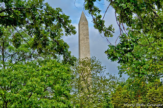 Washington Monument in Washington, DC photo by mbgphoto