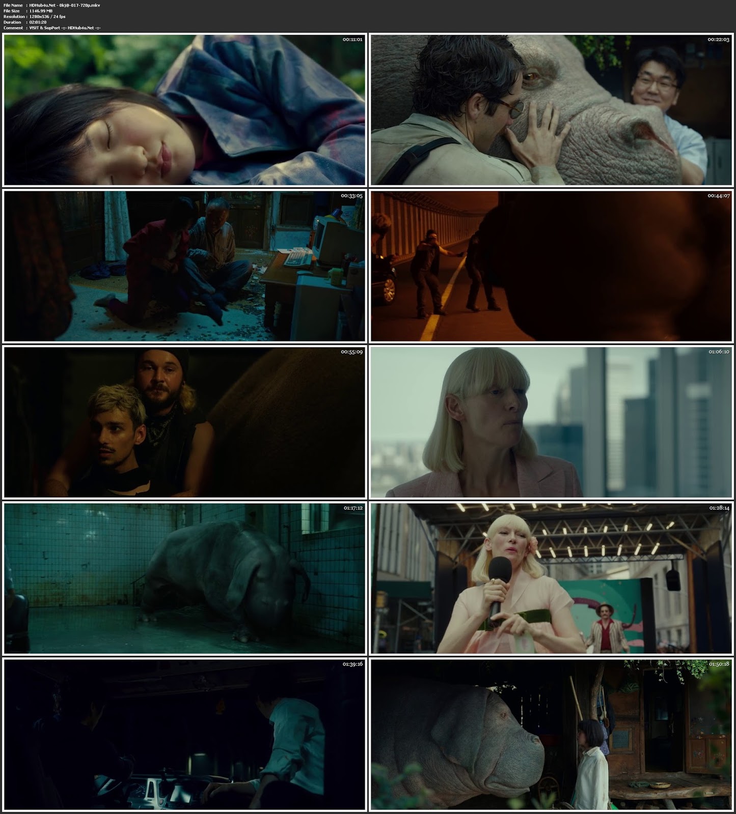 Okja 2017 Hindi Dual Audio 480p WEBRip 350MB Download