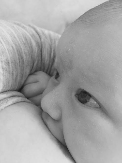 Black and white photograph of newborn baby breastfeeding