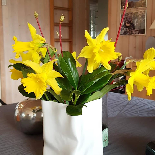 Persönlich und voller Charme: Dänemark-Urlaub im privaten Ferienhaus. Wir wurden mit Blumen empfangen und fühlten uns gleich richtig wohl.