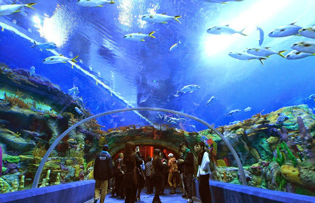Maior aquário do mundo