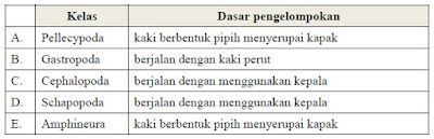 Contoh Soal Pengelompokan Makhluk Hidup