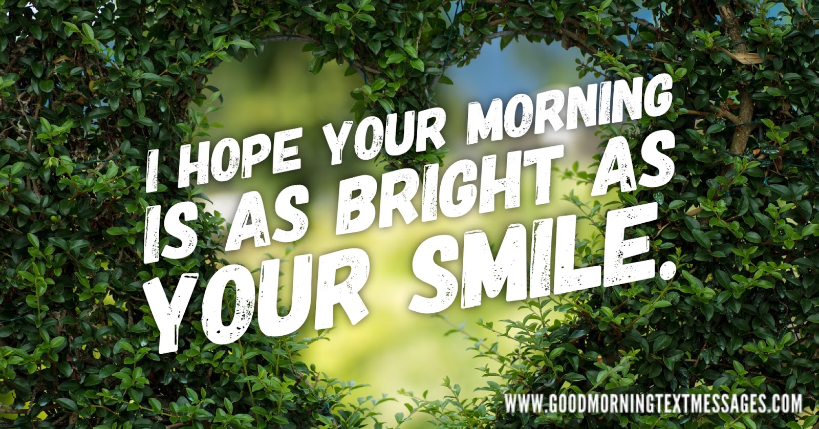 Sexy good morning text message for him Sexy good morning text message for him