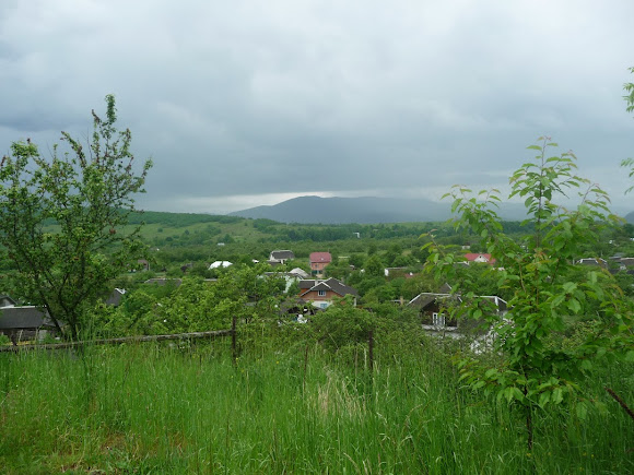 Пациков. Церковь Успения Пресвятой Богородицы. УПЦ КП. 1691 г.