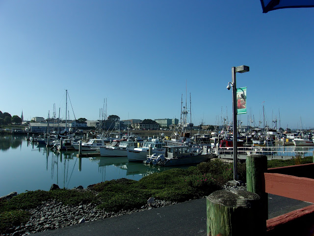 Fishing Boats near the Fancy Restaurant on Woodley Island near Eureka, CA