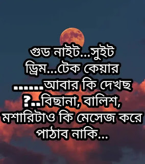 Good Night Bangla SMS (শুভরাত্রি মেসেজ) & Shayari