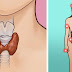 HERE’S HOW YOU CAN NATURALLY HEAL YOUR THYROID FOR HORMONE BALANCE