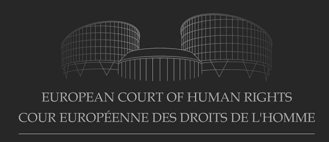 Tribunal Europeo de Derechos Humanos y procedimiento