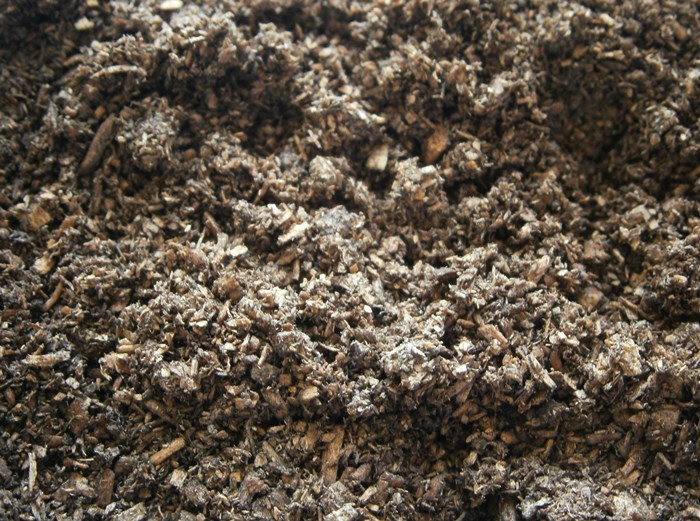 Moxywood%25233.JPG