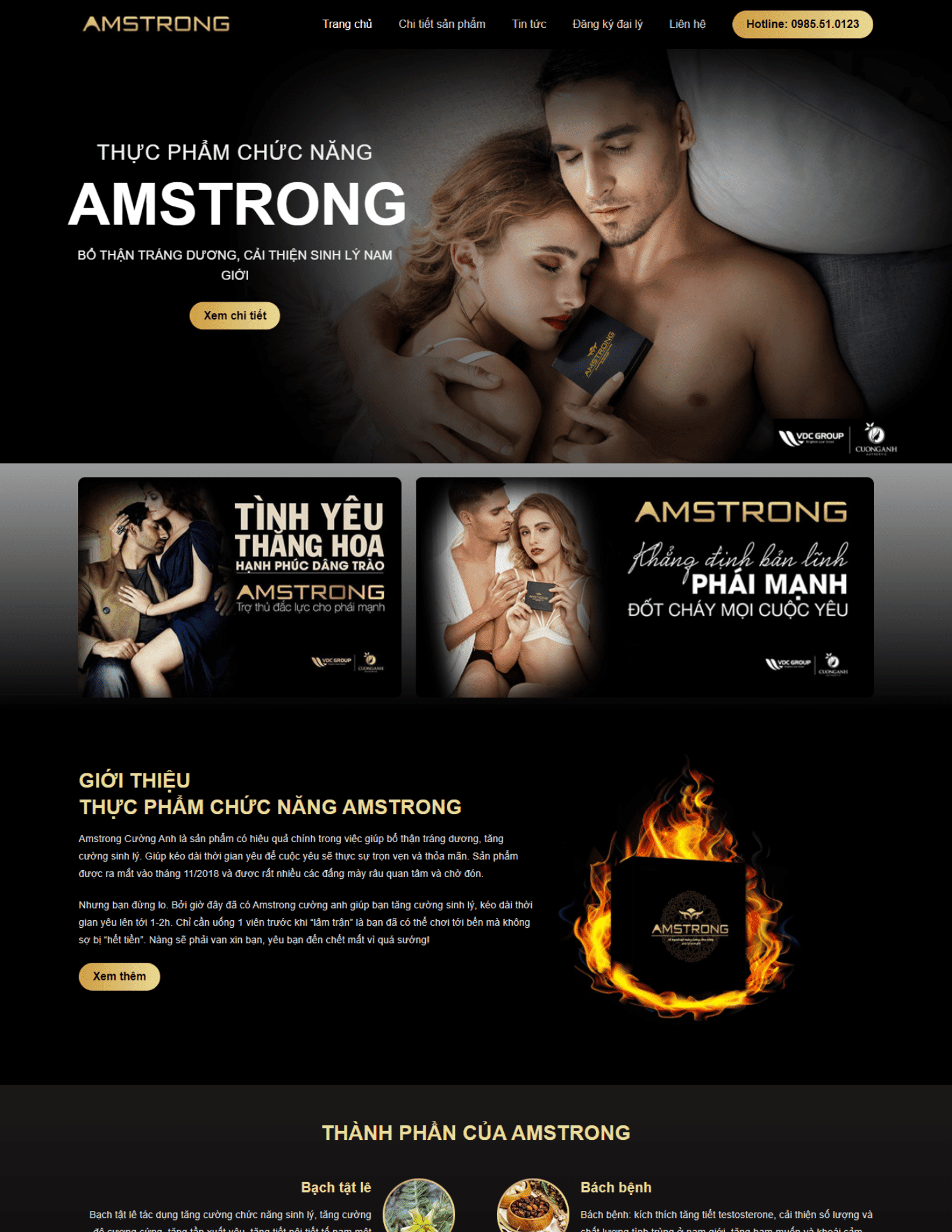 Theme blogspot landing thực phẩm chức năng (VSM12)