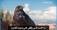 ما الاسم الذي يطلق على صوت الغراب