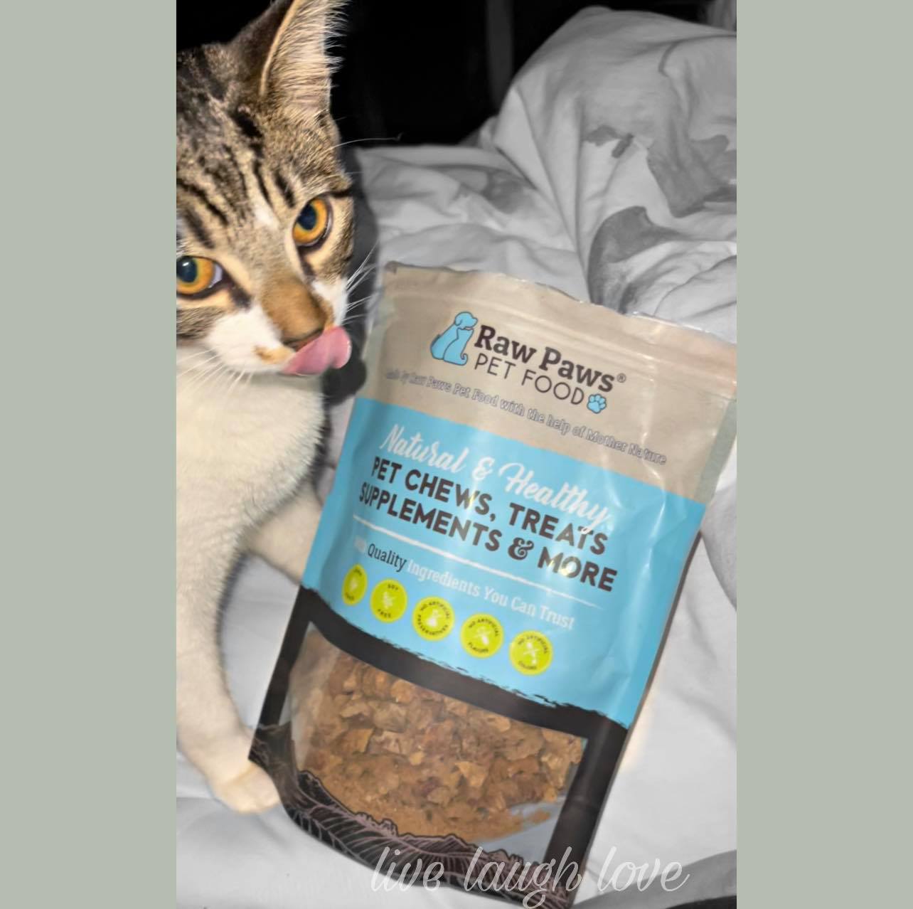 Live Laugh Love Raw Paws Pet Food Review & Giveaway!