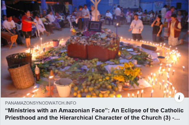 https://panamazonsynodwatch.info/articles/eclesiology/ministries-with-an-amazonian-face-an-eclipse-of-the-catholic-priesthood-and-the-hierarchical-character-of-the-church-3/