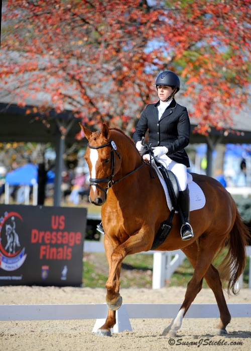 The Dressage Connection Ten More Champions Crowned on Final Day of US
