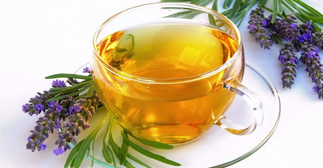 lavender tea herbal tea