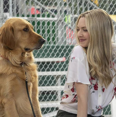 The Art Of Racing In The Rain Amanda Seyfried Image 3