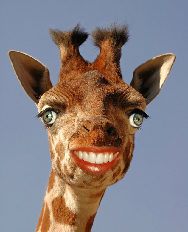 funny+photoshop+grinning+giraffe+human+man+animal+hybrid.jpg