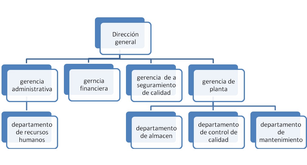Niveles De Gerencias