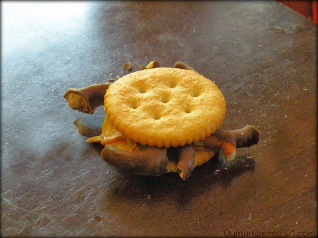 Spider cracker spider cracker top
