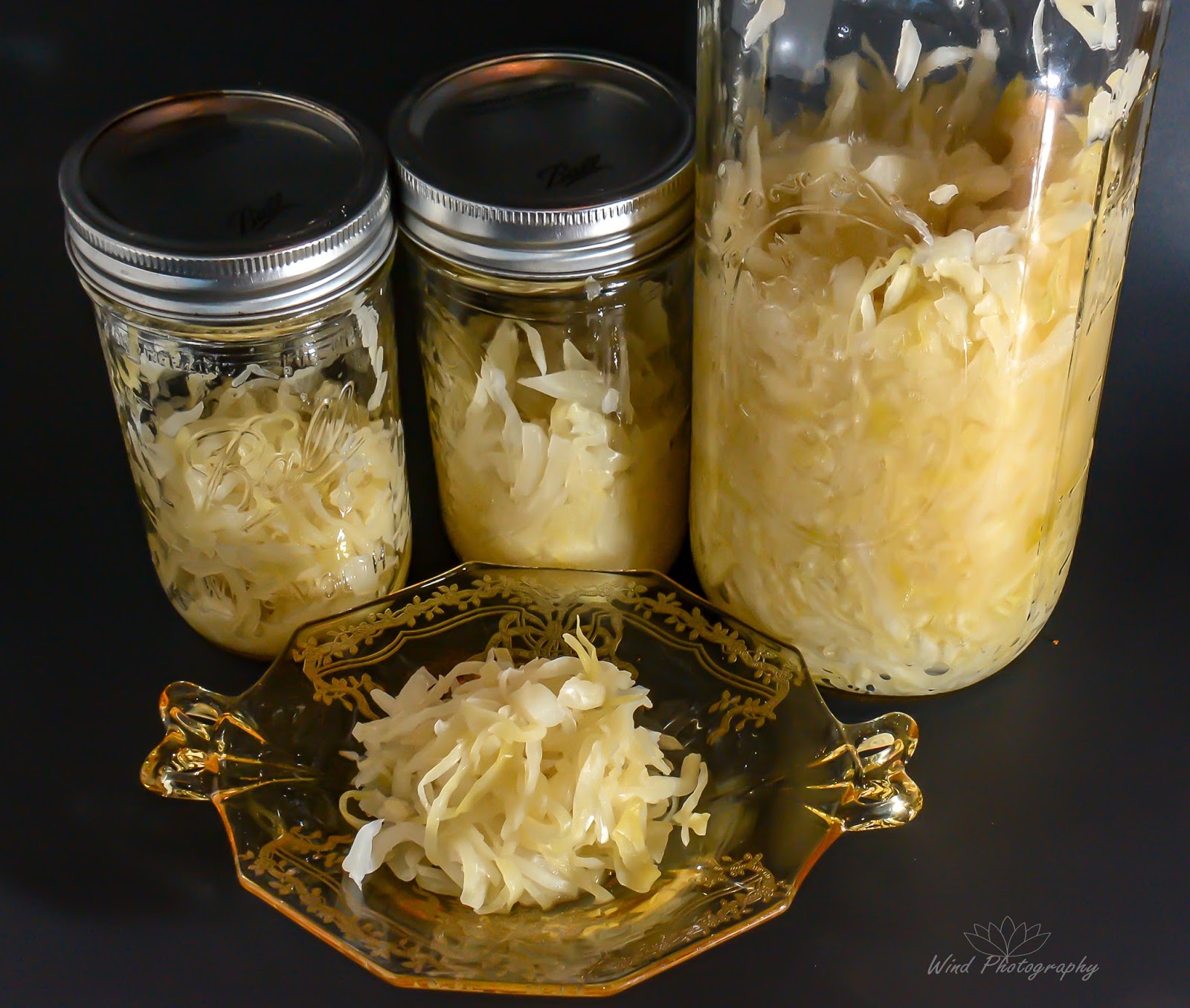 GardenCuizine Just two ingredients to makeyourown Probiotic