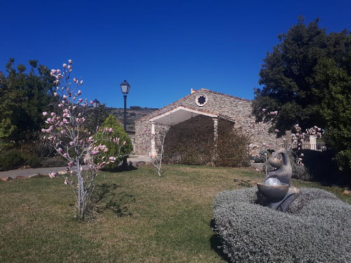 Trasplante de encinas centenarias y floración de arbustos en Villa Isabelica Por Ruepra Jardinería