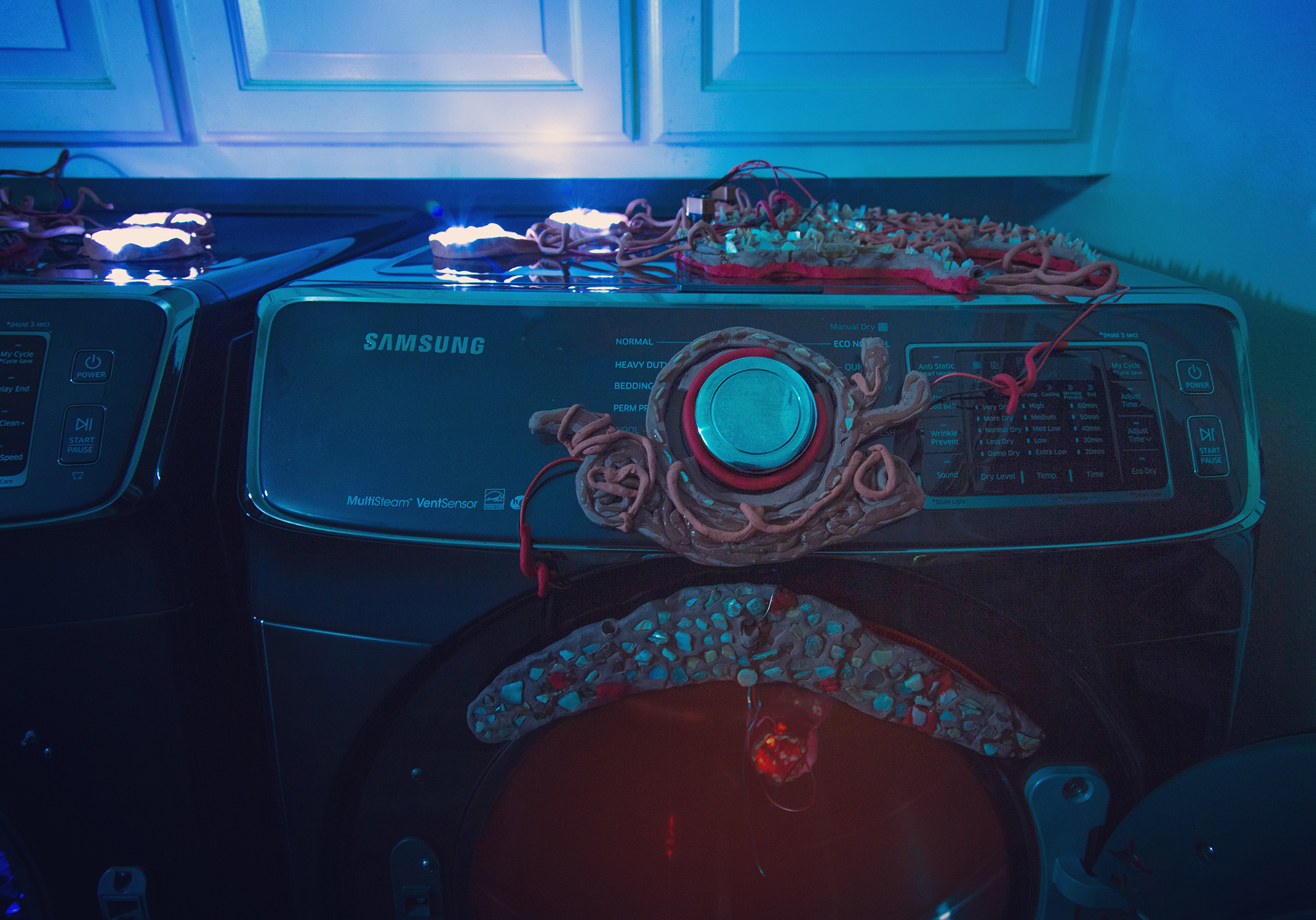 Daily Lazy Andy Ralph at Washer Dryer Projects / Salt Lake City