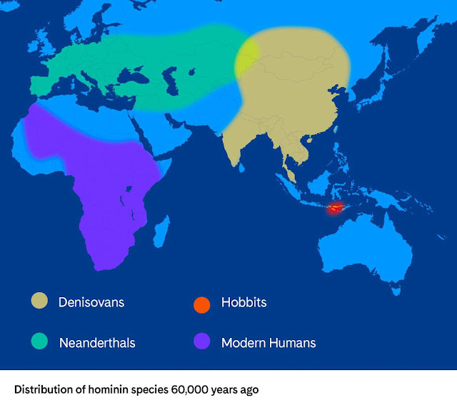 neandertalaca