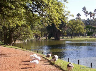 Los bosques de Palermo cuentan con un inventario estimado de 15.000 árboles.