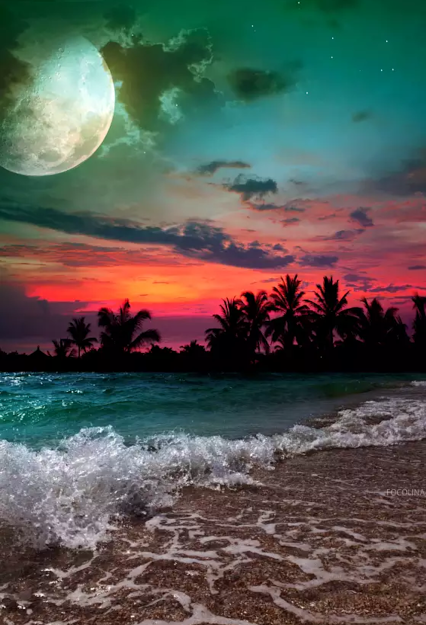 Violin Mendelssohn S Violin Concerto In E Minor Performed By