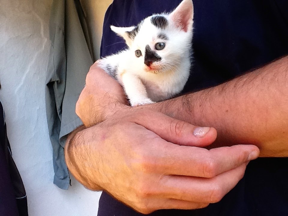 Jilo_13v my rural affairs @ all-the-places