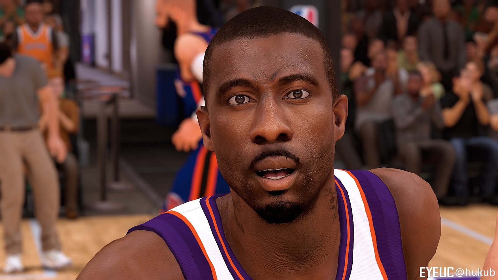 andre stoudemire