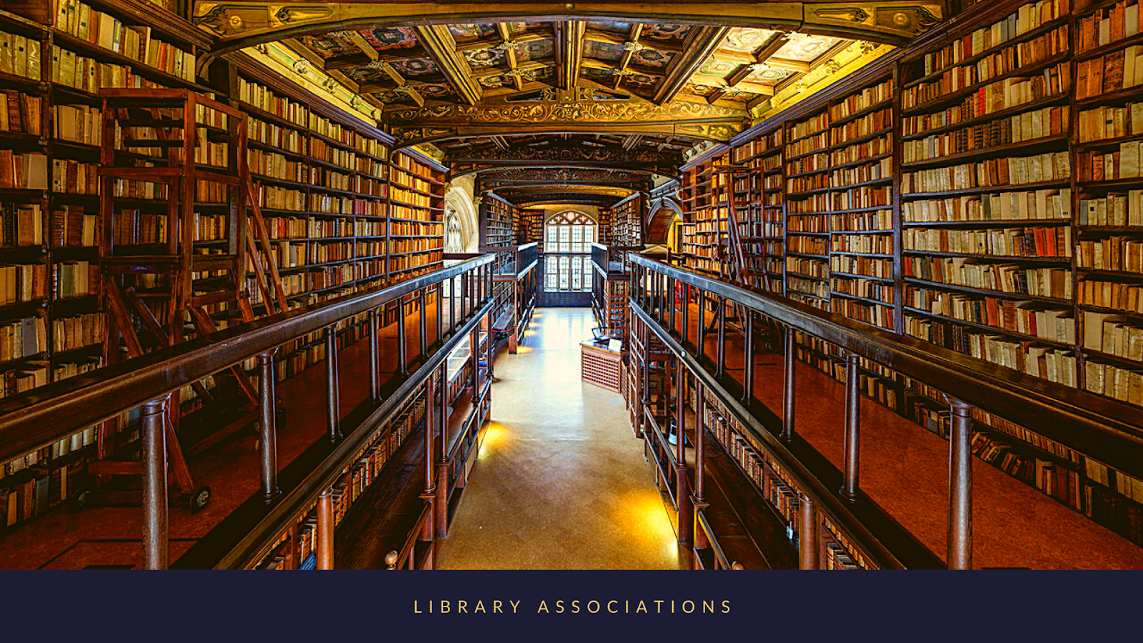 Expert Mainstream balanced Library Associations