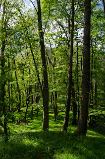 Naturfotografie Landschaftsfotografie Weserbergland