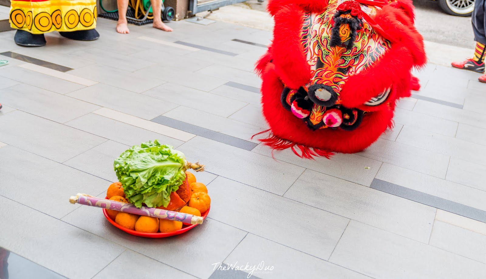 lion dance performance during chinese new year
