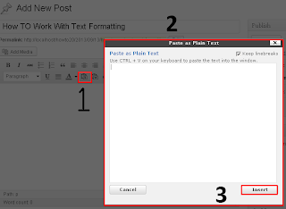 how to use past as plain text in WP