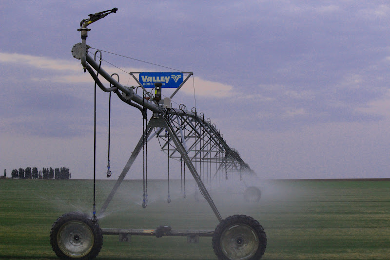 Carmen's 365 Photo Journey A big sprinkler