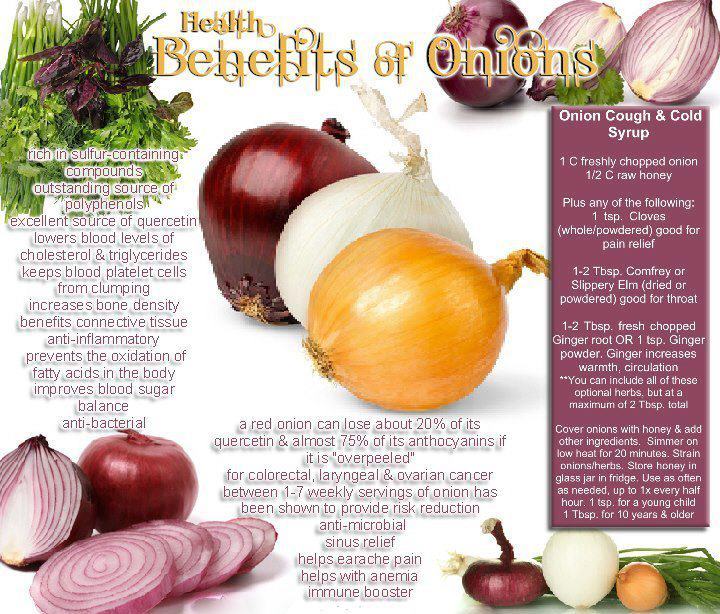 ShowMe Nan Benefits of Onion