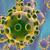 Sistema Nacional de Vigilancia Epidemiológica sigue evolución de brote de coronavirus